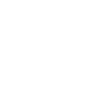 White_building_business_company_corporation_global_icon (1)