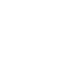 white_analysis_case study_overview_magnifying glass_traceability_icon
